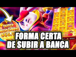 melhor horario fortune rabbit